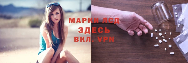 соль ск Кукмор