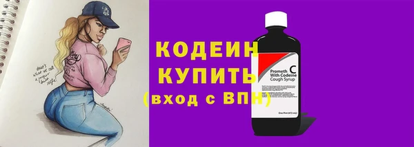 гашик Куйбышев