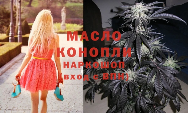 соль ск Кукмор