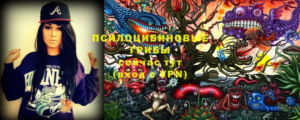 гашик Куйбышев